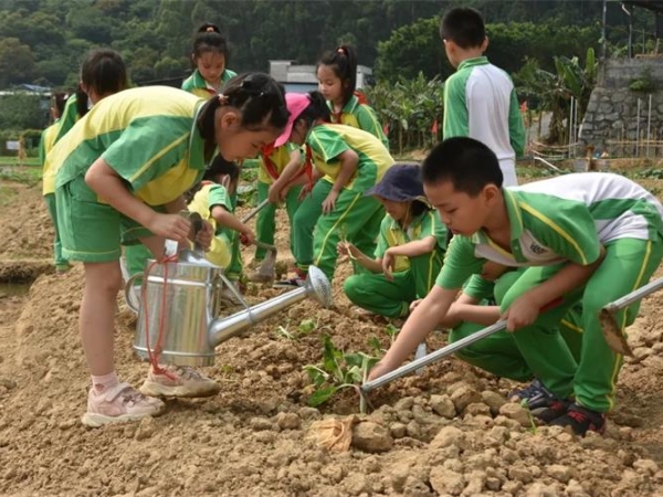 北城小學研學活動 | 用體驗守護匠心·用實踐傳承文化